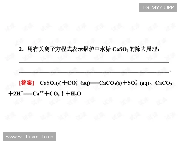 黄潜攻防平衡展现实力，五连胜中的战术秘诀分析与未来走势探讨