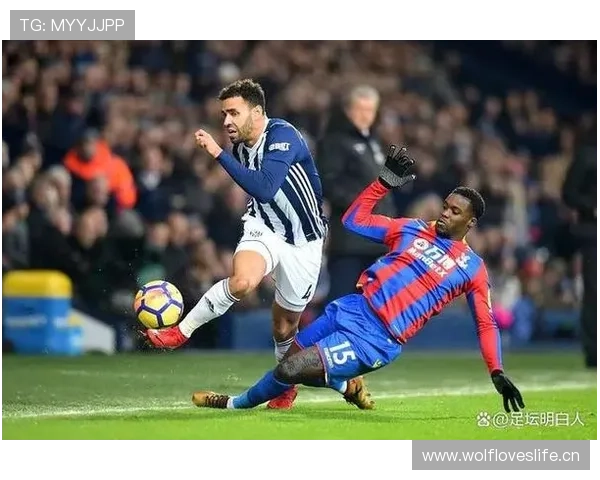 富勒姆整体实力 富勒姆整体实力