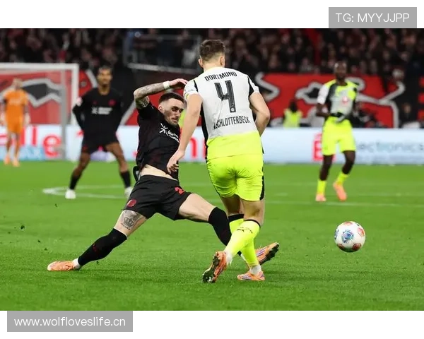 德甲弗莱肯门将