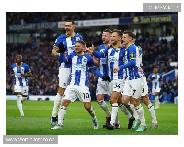 布莱顿本赛季表现稳健,竞争力持续提升 布莱顿本赛季表现稳健,竞争力持续提升