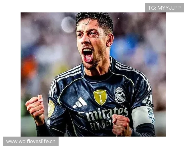 国家队关键战役：巴尔韦德的国际赛场表现