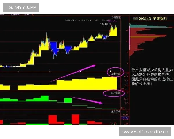 巴黎欧冠短板：竞争格局中稳定性面临考验，表现能否持续提升