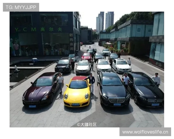 拉菲尼亚居然买了那种豪车，走路都带风的感觉有点嘚瑟耶