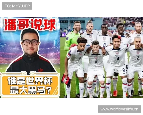 世界杯B组最大黑马球队预测出炉 世界杯B组最大黑马球队预测出炉